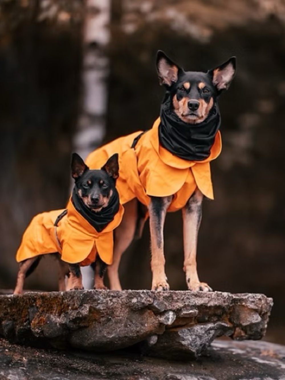 Paikka Visibility Raincoat - Orange Size 30